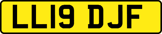 LL19DJF