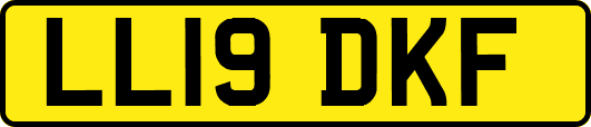 LL19DKF