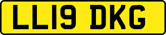 LL19DKG