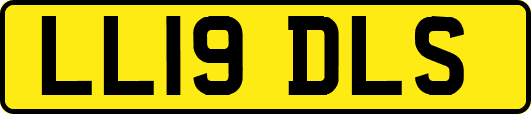 LL19DLS
