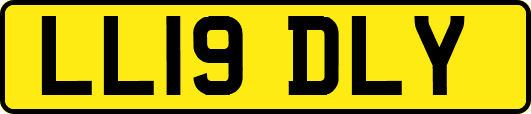 LL19DLY