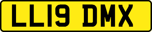 LL19DMX