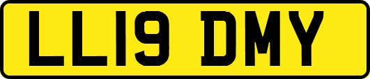 LL19DMY