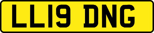 LL19DNG