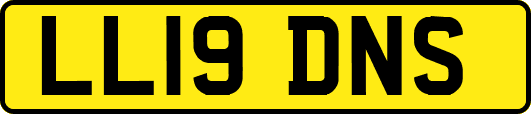 LL19DNS
