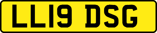 LL19DSG