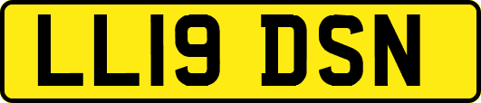 LL19DSN