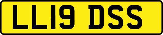 LL19DSS