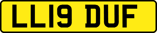 LL19DUF