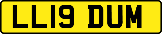 LL19DUM