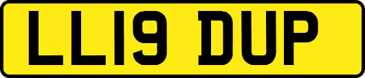 LL19DUP