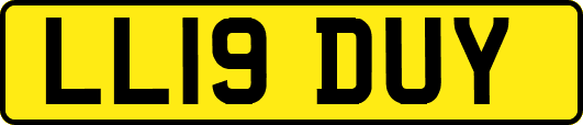 LL19DUY