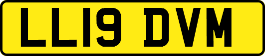 LL19DVM