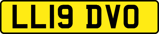 LL19DVO