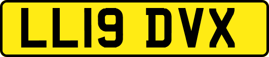 LL19DVX