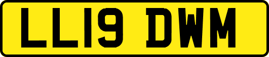 LL19DWM