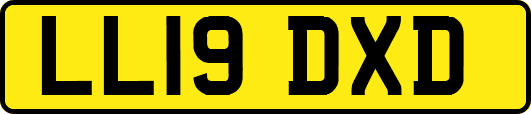 LL19DXD
