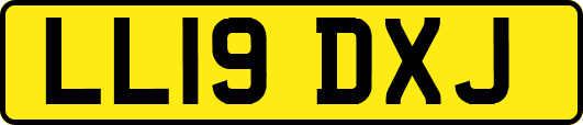 LL19DXJ