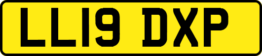 LL19DXP