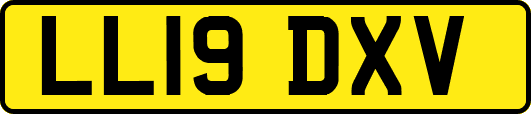 LL19DXV