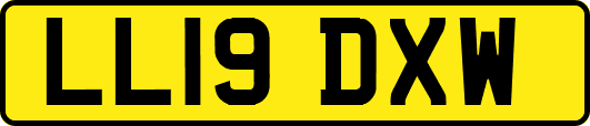 LL19DXW