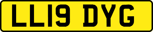 LL19DYG