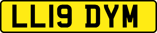 LL19DYM