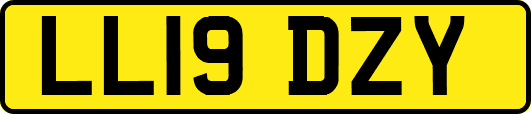 LL19DZY