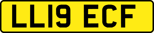 LL19ECF