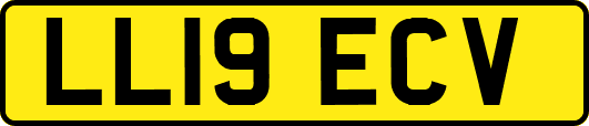 LL19ECV