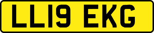 LL19EKG