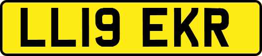 LL19EKR