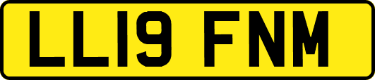 LL19FNM