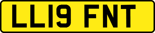 LL19FNT