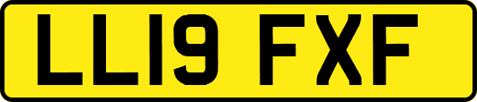 LL19FXF
