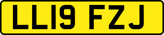 LL19FZJ
