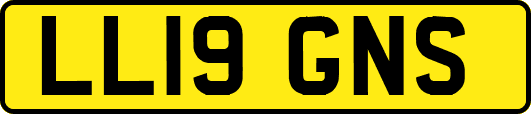 LL19GNS