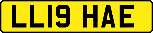 LL19HAE