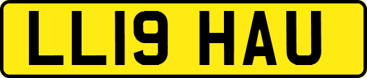 LL19HAU