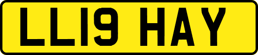 LL19HAY
