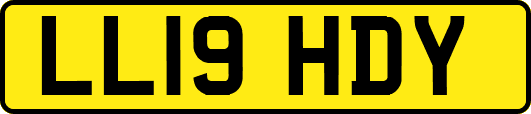LL19HDY