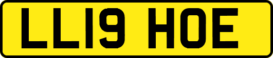 LL19HOE
