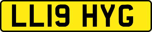 LL19HYG