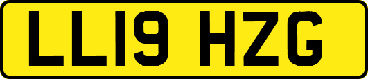 LL19HZG