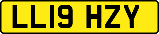 LL19HZY