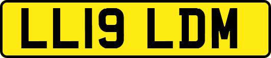LL19LDM
