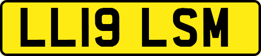 LL19LSM