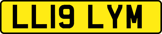 LL19LYM