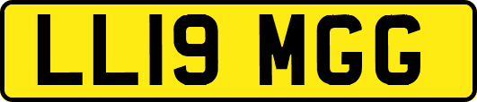 LL19MGG