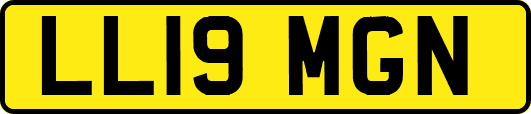 LL19MGN